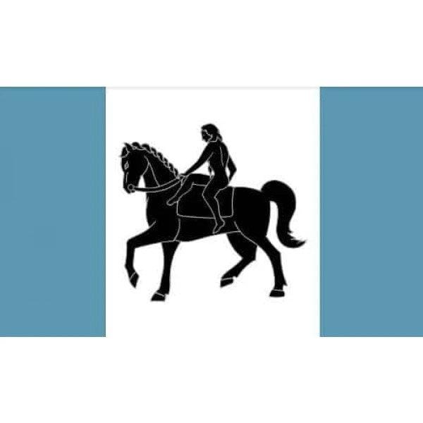 Coventry Flag
