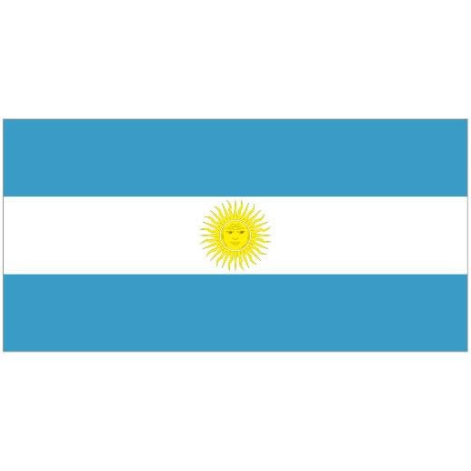 ARGENTINA 1.52m x 0.91m (5ftx 3ft) Budget Display Flag
