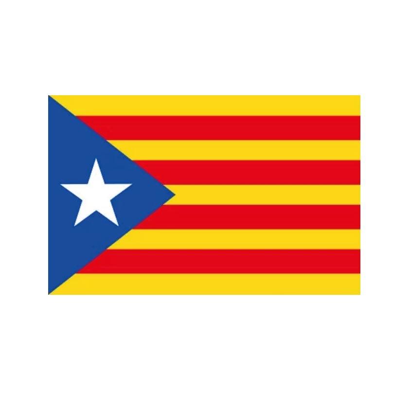 Flagpoles,　much　Flags　and　Catalonia　Flag　Flagpoles　more　Flags,　Bunting　–
