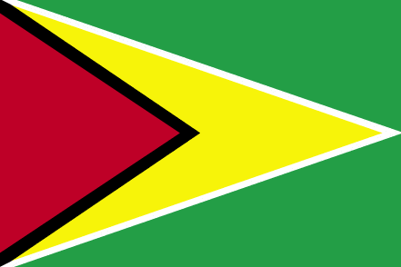 Guyana Flag