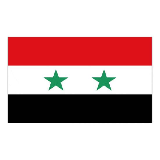 Syria Bunting &amp; Flags