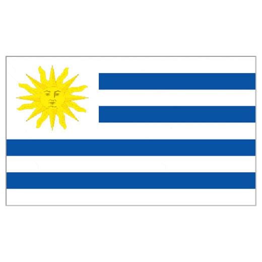Uruguay 1.52m x 0.91m (5ftx 3ft) Budget Display Flag