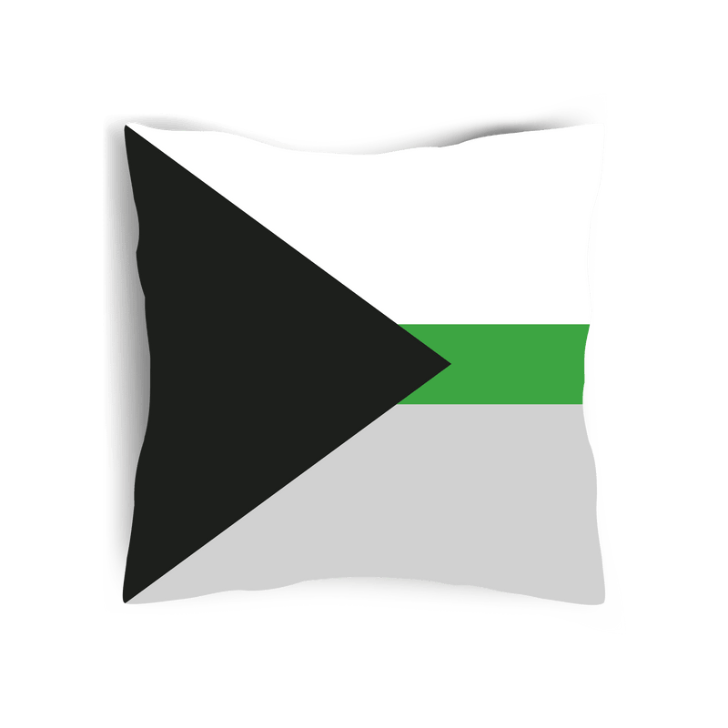 Demiromantic Pride Flag Cushion