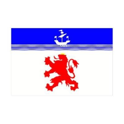Devon County Lion Flag