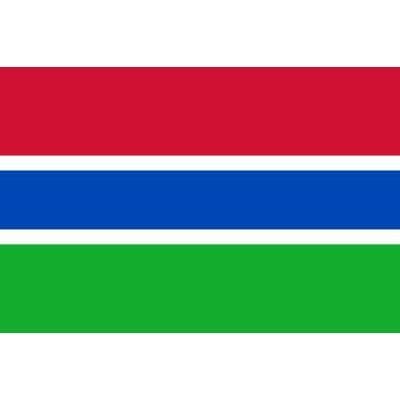 Gambia 3yd (274cm x 137cm) Sewn Flag