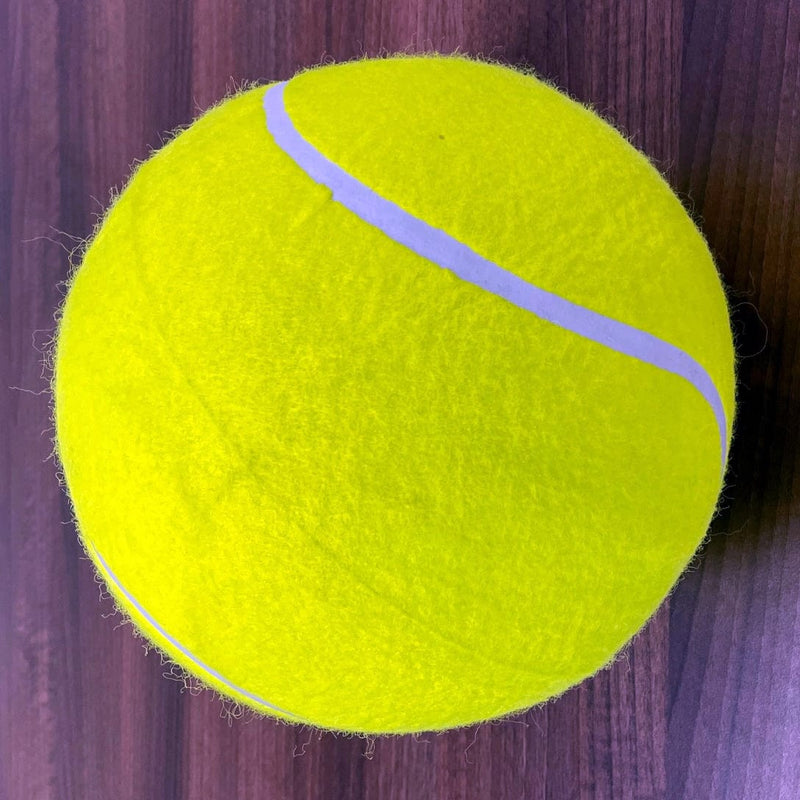 Giant Autograph Tennis Balls