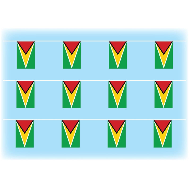 Guyana flag bunting