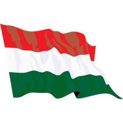 Hungarian Flag