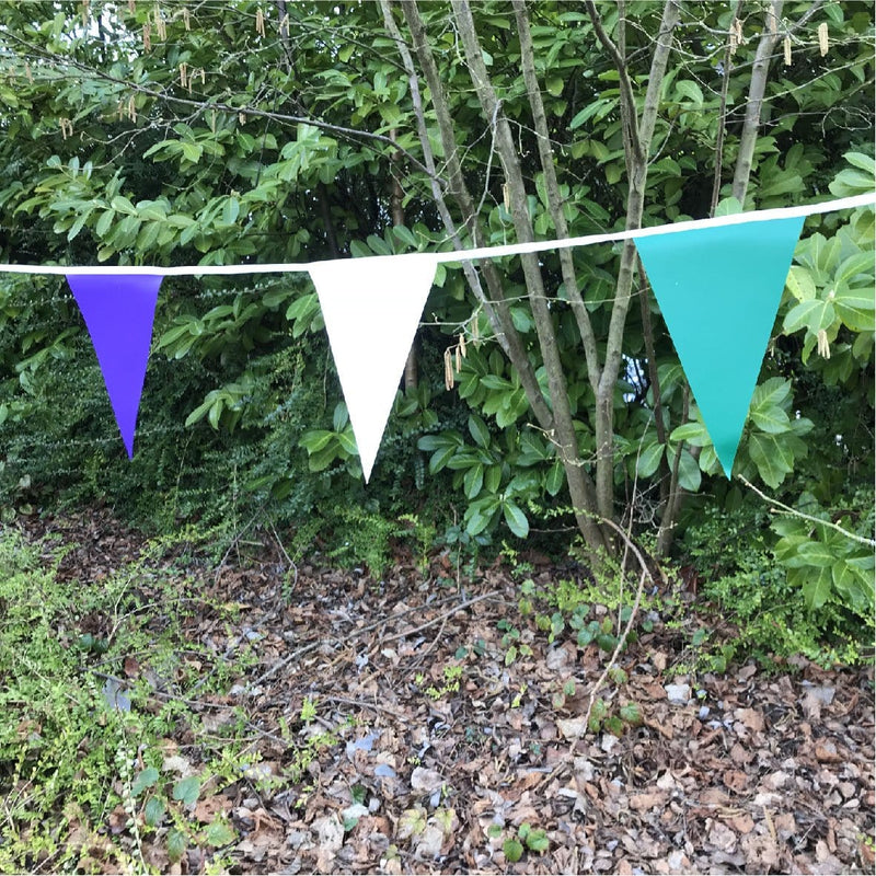 Suffragettes colours bunting