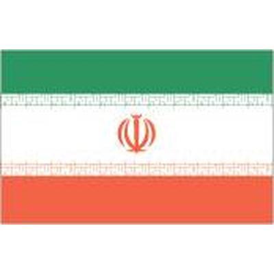 Iran 1.52m x 0.91m (5ftx 3ft) Budget Display Flag