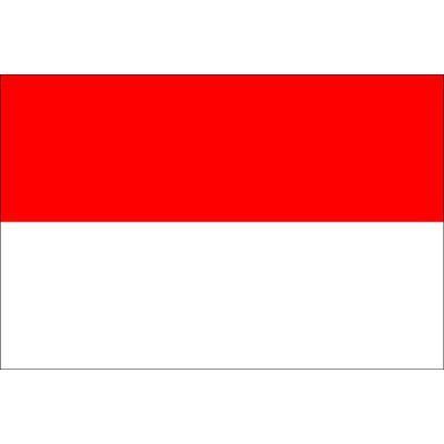Indonesia 1.52m x 0.91m (5ftx 3ft) Budget Display Flag