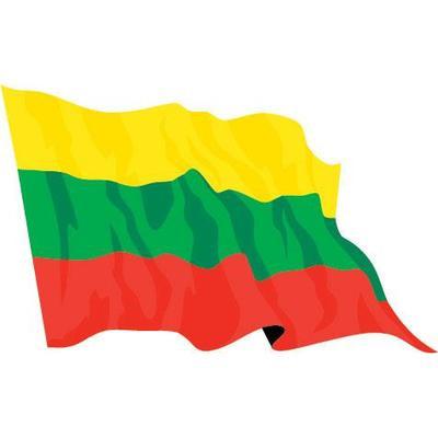 Lithuania Flags &amp; Bunting