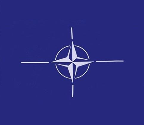 NATO 1.5yd (137x68cm) Sewn Flag