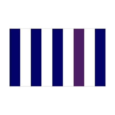 Navy & White Stripes 1.52m x 0.91m (5ftx 3ft) Budget Display Flag