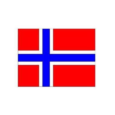 Norwegian Bunting