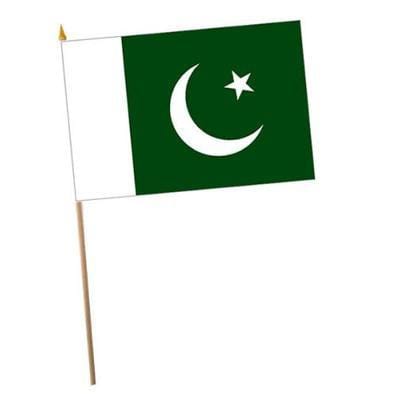 Pakistan Fabric Hand Waving Flags