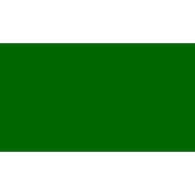 Plain Green Flag - 5ft x 3ft
