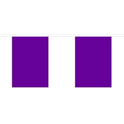 Plain Purple Fabric Bunting