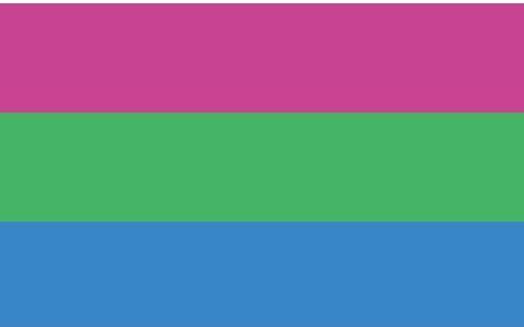 Polysexual Flag (LGBTQ+ Pride)