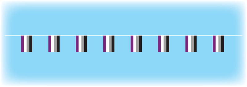 Asexual Flag Bunting - 10 metres