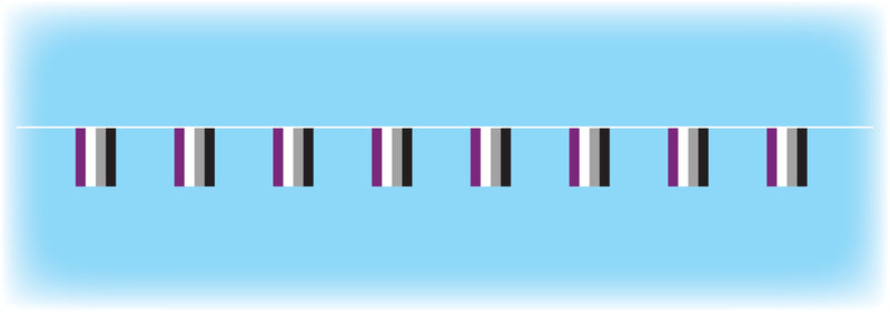 Asexual Flag Bunting - 10 metres