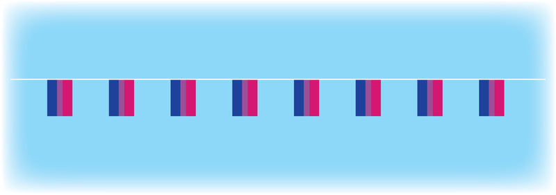 Bisexual Flag Bunting - 10 metres