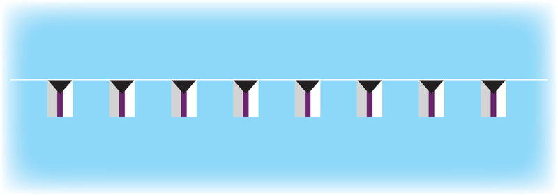 Demisexual Flag Bunting - 10 metres