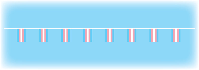 Transgender Flag Bunting - 10 metres