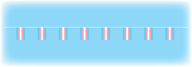 Transgender Flag Bunting - 10 metres