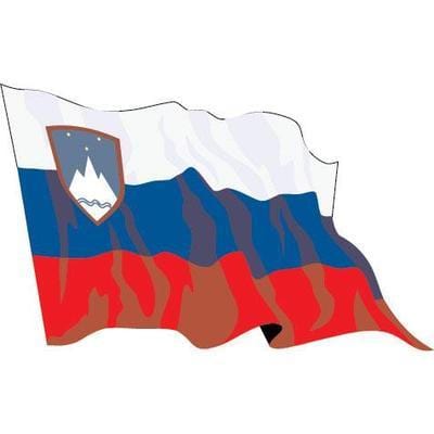 Slovenian Flag