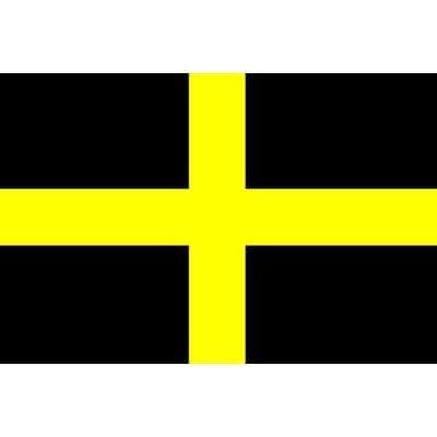 St Davids Flag