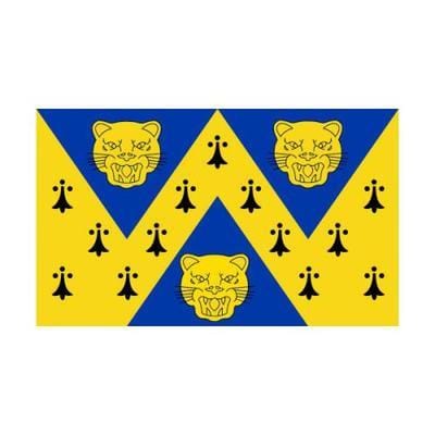 Shropshire 1.52m x 0.91m (5ftx 3ft) Budget Display Flag