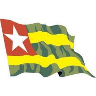 Togo 1.52m x 0.91m (5ftx 3ft) Budget Display Flag