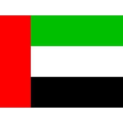 UAE Flag