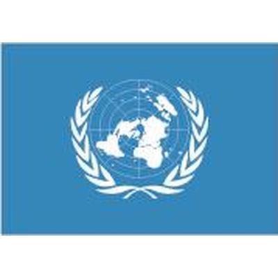 United Nations Flag