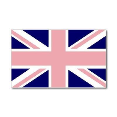 Pink & Blue Union Jack flag