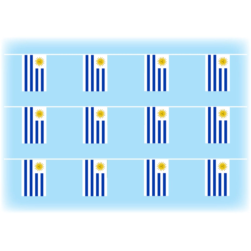 Uruguay Bunting