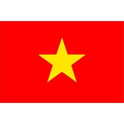 Vietnamese Flag