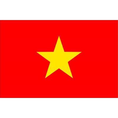 Vietnam flag