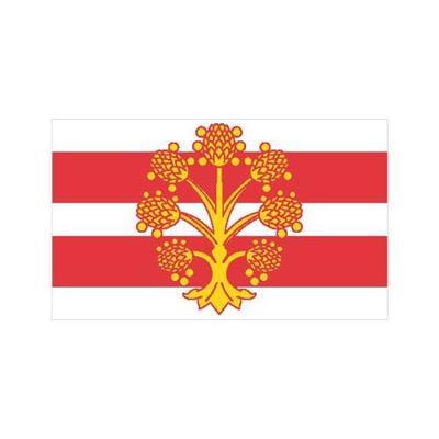 Westmorland county flag