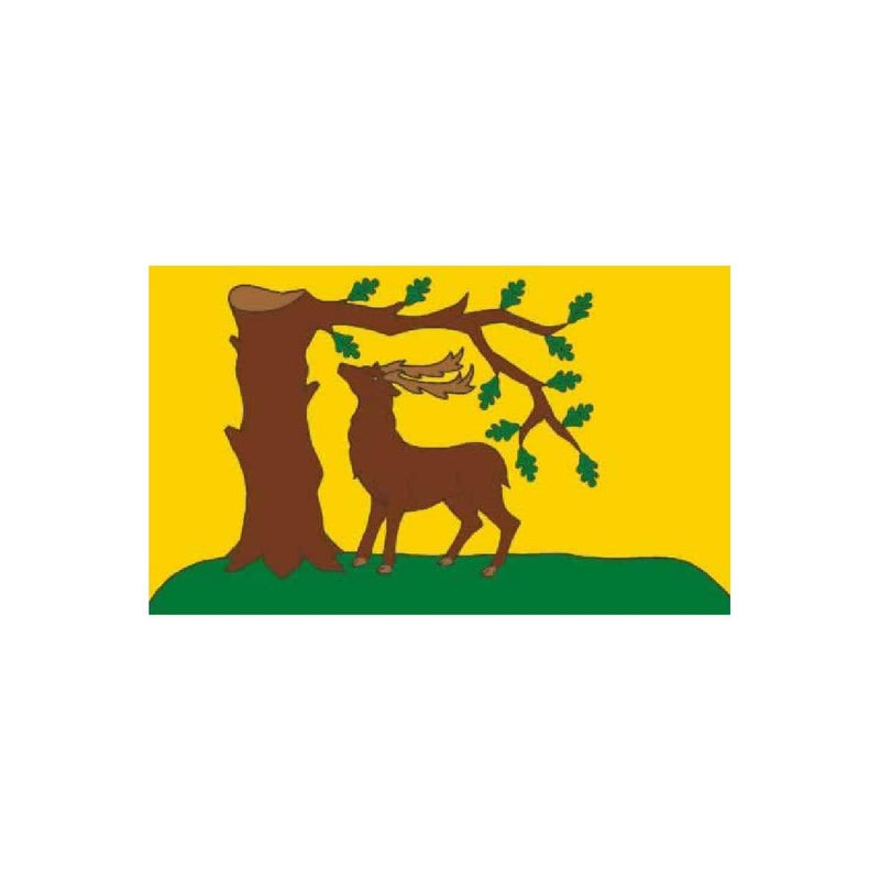 Berkshire county flag