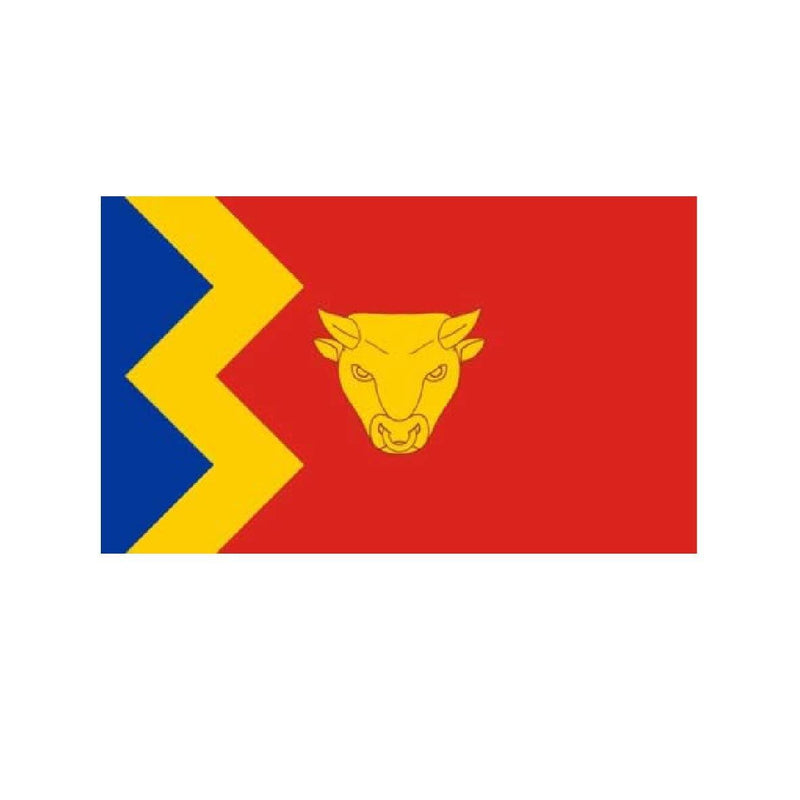 Birmingham county flag
