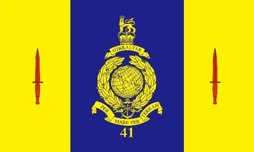41 Commando Royal Marines 1.52m x 0.91m (5ftx 3ft) Budget Display Flag