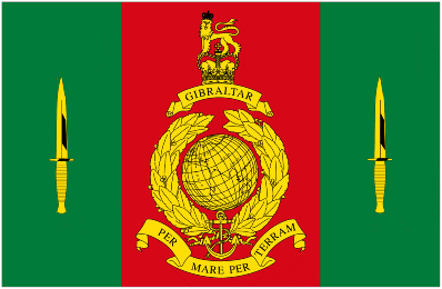 Commando Training Centre Royal Marines 1.52m x 0.91m (5ftx 3ft) Budget Display Flag