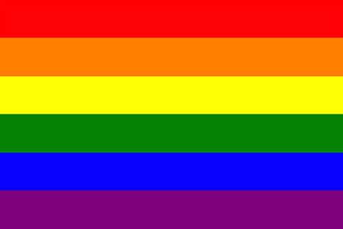 Rainbow Flag (LGBTQ+ Pride) | Flags and Flagpoles