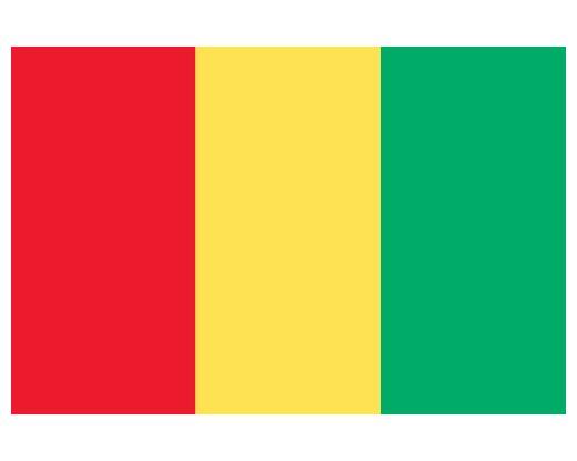 Guinea Budget Display Flag 152cm x 91cm (5ft x 3ft)