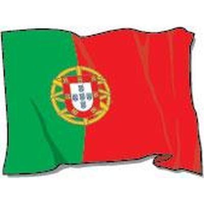 Printed Portugal Flags