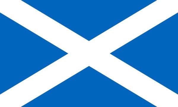 St Adrews flag 4
